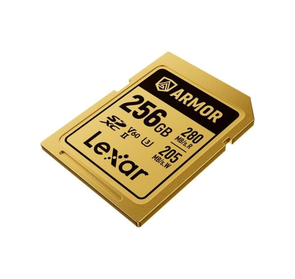 Lexar minneskort SDXC 256GB Armor Gold UHS-II U3