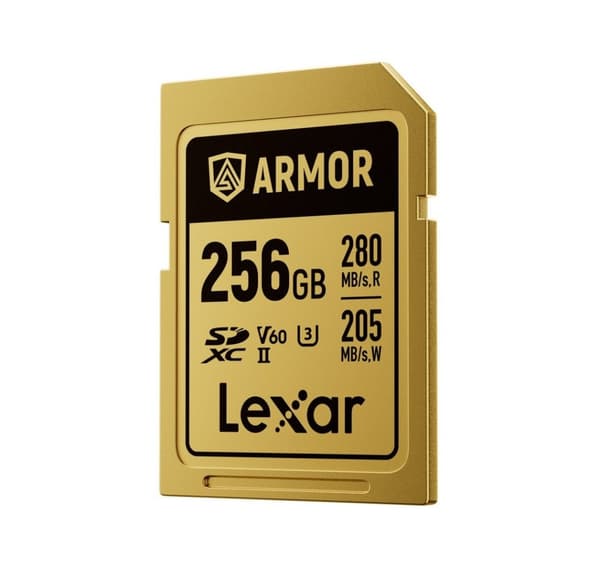 Lexar minneskort SDXC 256GB Armor Gold UHS-II U3