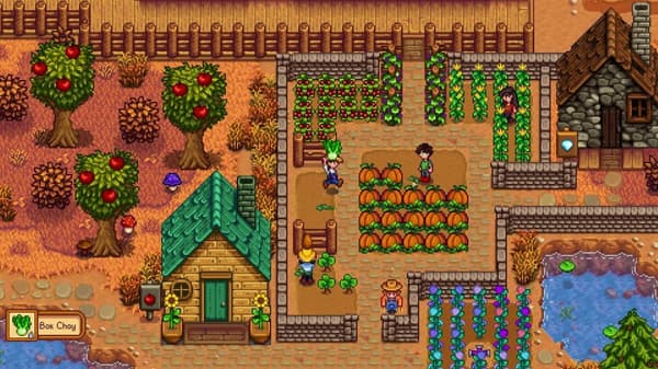 Stardew Valley Nintendo Switch