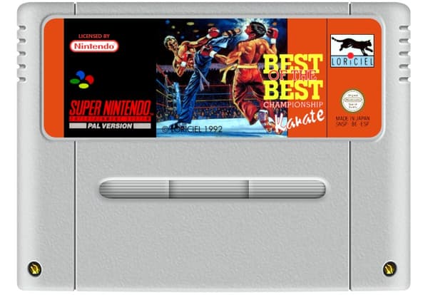 Best of the Best: Championship Karate - SCN - Super Nintendo (begagnad)