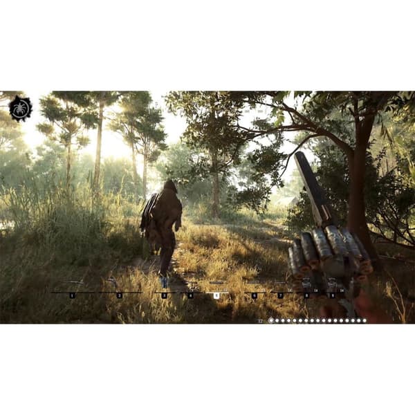 Hunt Showdown Playstation 4 PS4