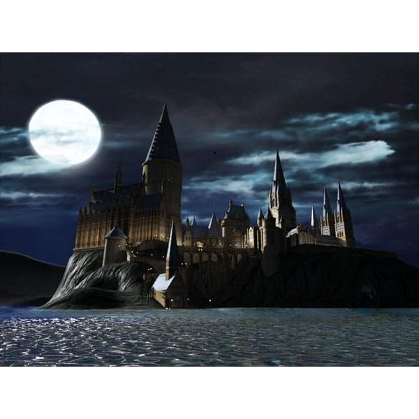 Lego Harry Potter Years 1-4 Playstation 3 PS3