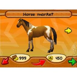Imagine Champion Rider Nintendo DS (Brugt)