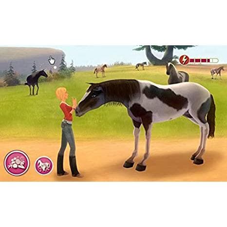 Imagine Champion Rider Nintendo DS (Brugt)
