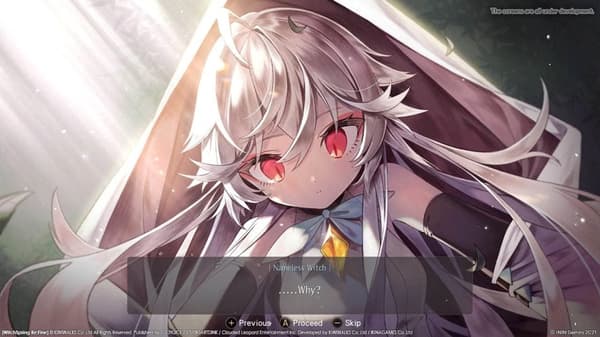 WitchSpring 3 Re:Fine - The Story of Eirudy - Nintendo Switch