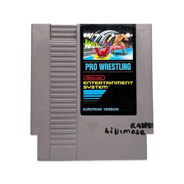 Pro Wrestling