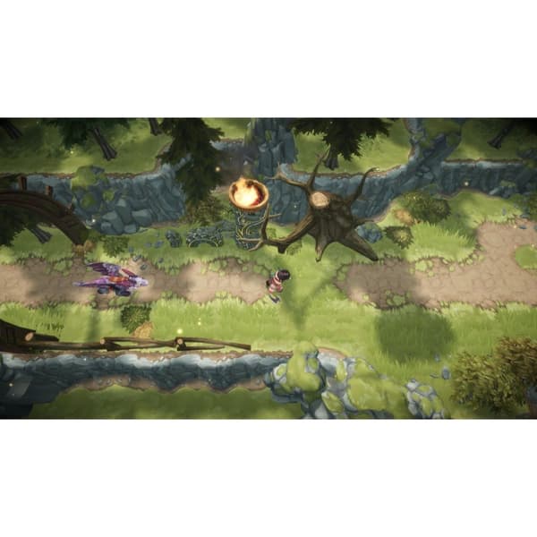 Dragons Dawn of the New Riders Playstation 4 PS4
