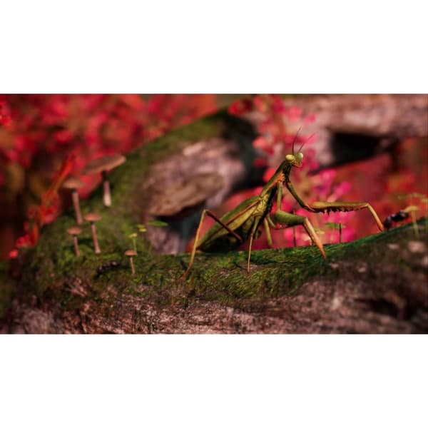 Away the Survival Series Playstation 5 PS5