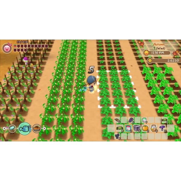 Story of Seasons Friends of Mineral Town Playstation 4 PS4