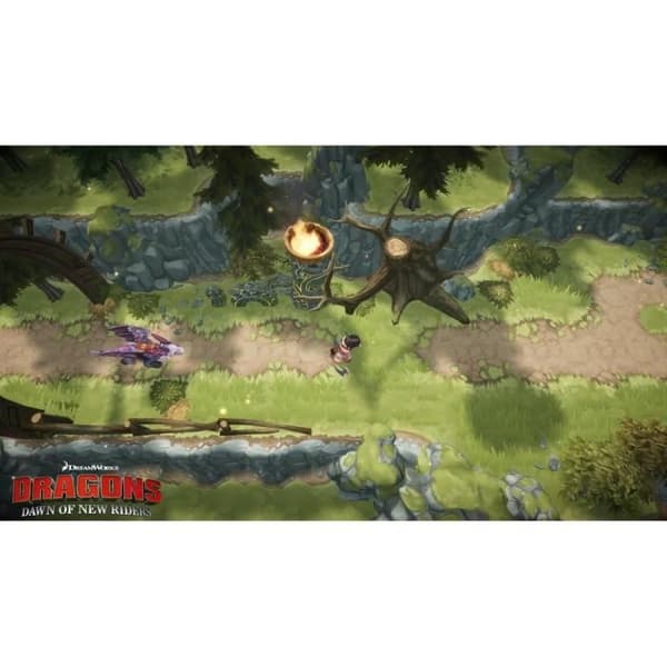 Dragons: Dawn of the New Riders PS4-spel