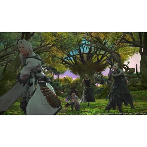 FINAL FANTASY XIV: Complete Edition PS4-spel