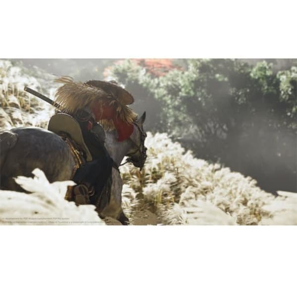 Ghost of Tsushima PS4-spel - PS5-kompatibelt