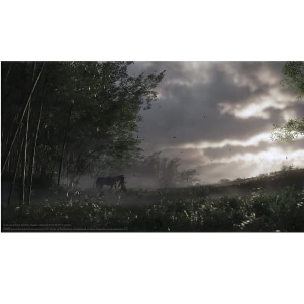 Ghost of Tsushima PS4-spel - PS5-kompatibelt