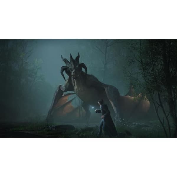 HOGWARTS LEGACY: THE LEGACY OF HOGWARTS PS5-spel