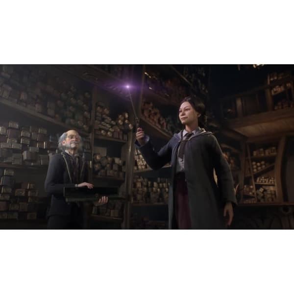 HOGWARTS LEGACY: THE LEGACY OF HOGWARTS PS4-spel