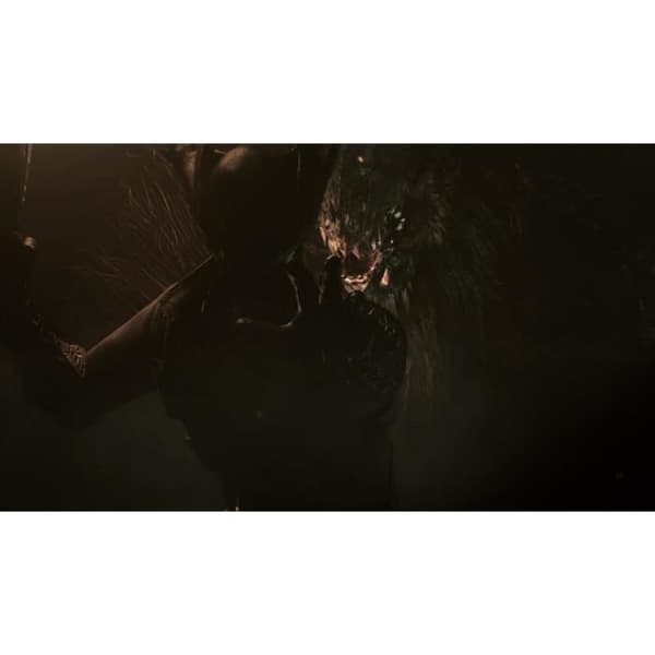 Bloodborne Game Of The Year Edition PS4-spel