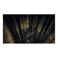 Miniatyrbild 1 av 4: Dark Souls II: Scholar of the First Sin PlayStation 3