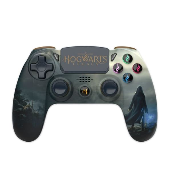 Trade Invaders Harry Potter: Hogwarts Legacy - Landscape (PlayStation 4)