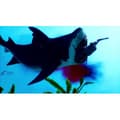 Miniatyrbild 3 av 4: Maneater Day One Edition PS4-spel