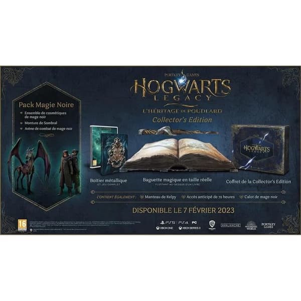 Hogwarts Legacy: Hogwarts Legacy - Collector's Edition-Game-XBOX SERIES X