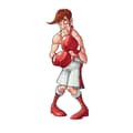 Miniatyrbild 4 av 5: Punch-out Wii- REFURBISHED