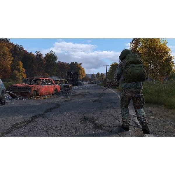 Strategispel - DayZ - PS4 - Onlineläge - Upp till 60 spelare - Standard Edition