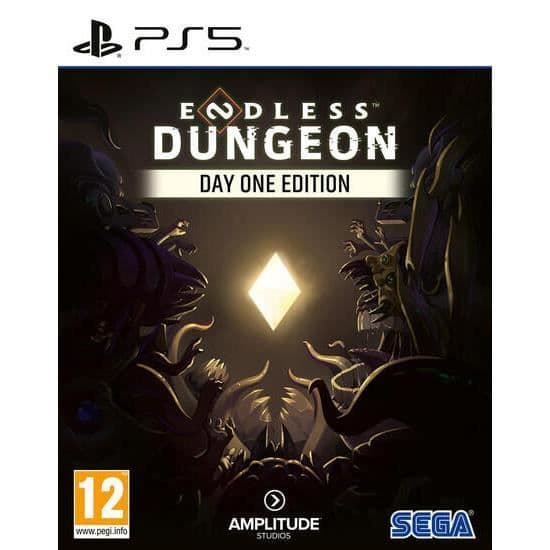 Endless Dungeon Day One Edition-Spel-PS5