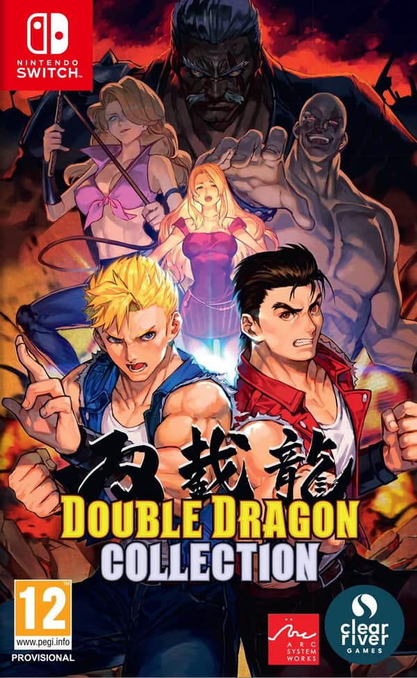 Double Dragon Collection (Nintendo Switch)