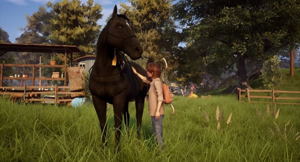 Windstorm: An Unexpected Arrival - Playstation 4