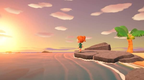 Animal Crossing: New Horizons Nintendo Switch