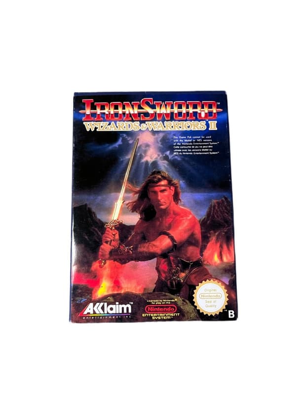 Ironsword Wizard & Warriors II - Med Kartong