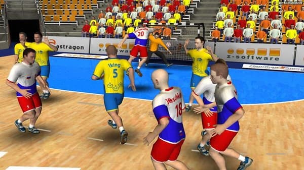 Handball Simulator: European Tournament 2010 PC
