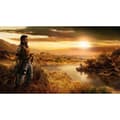 Miniatyrbillede 4 af 5: Far Cry 2 Playstation 3 PS3 (Brugt)