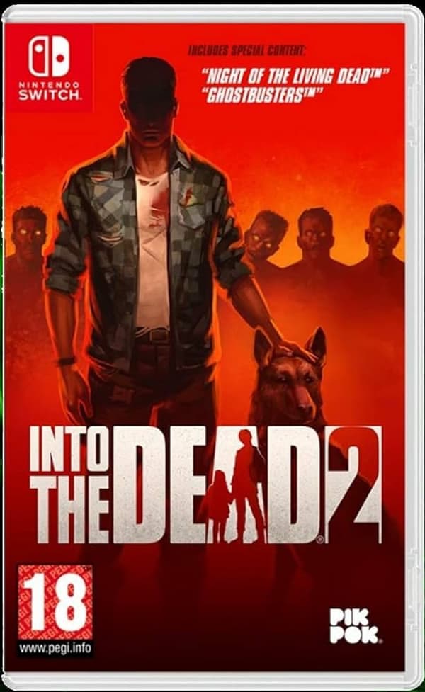 Into the Dead 2 (Nintendo Switch) VideoGames Pre-Owned