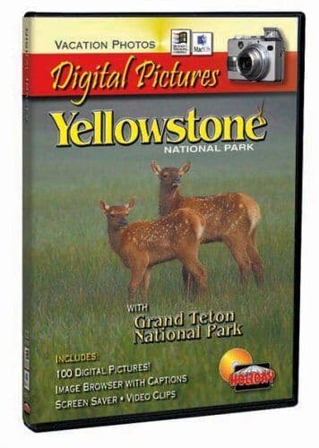 Yellowstone National Park Digital Pictures - Game 8QVG Pre-Owned