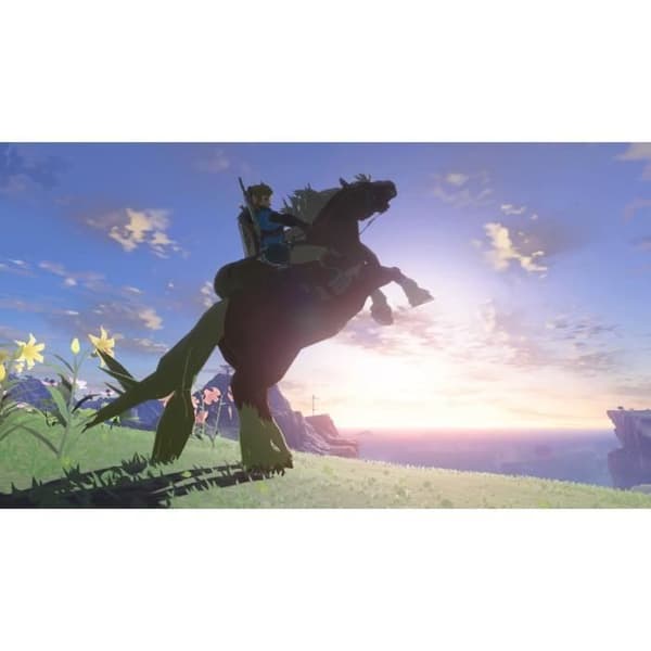 The Legend of Zelda: Tears of the Kingdom • Nintendo Switch-spel