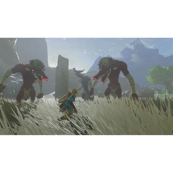 TV-spel för Switch Nintendo TLOZ TEA OFTKIN
