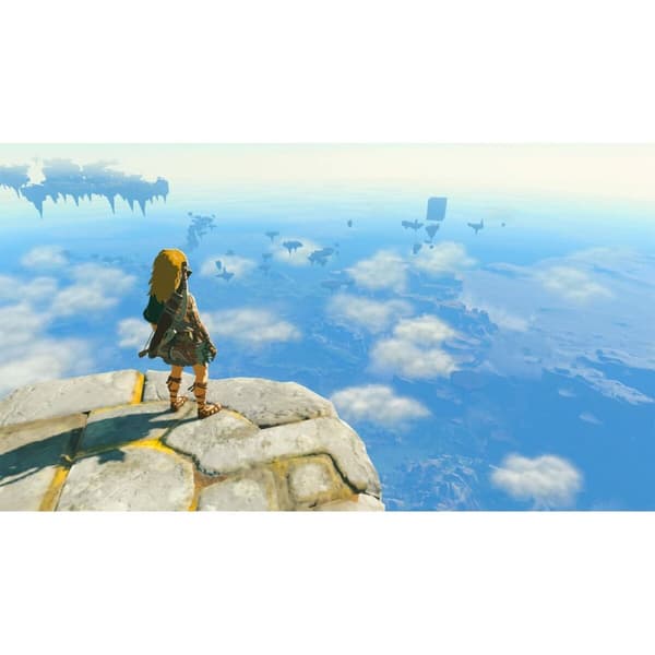 TV-spel för Switch Nintendo TLOZ TEA OFTKIN
