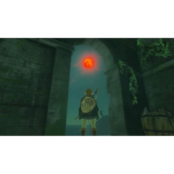 TV-spel för Switch Nintendo TLOZ TEA OFTKIN