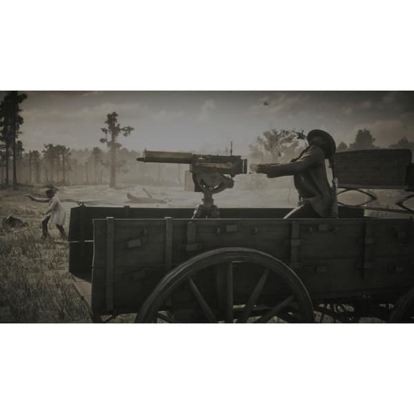 Red Dead Redemption II Playstation 4 PS4 (Brugt)