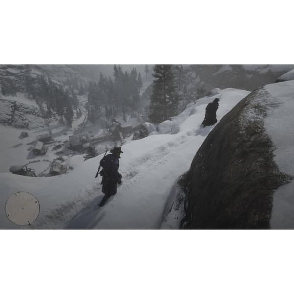 Red Dead Redemption II Playstation 4 PS4 (Brugt)
