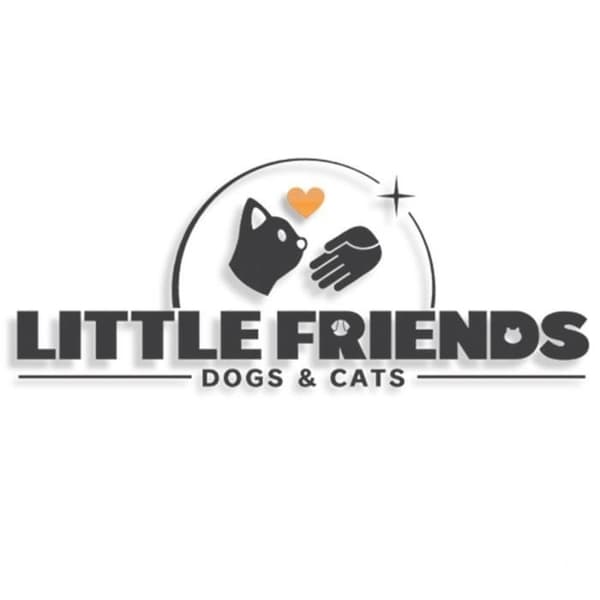 Little Friends: Dogs and Cats Switch Game