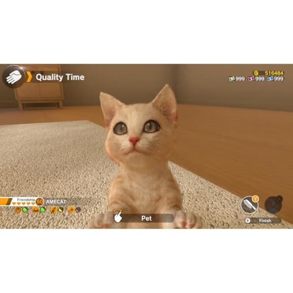 Little Friends: Dogs and Cats Switch Game