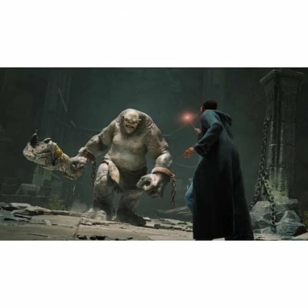 Videospil til Switch Nintendo HOGWARTS LEG STD SWITCH (ES)