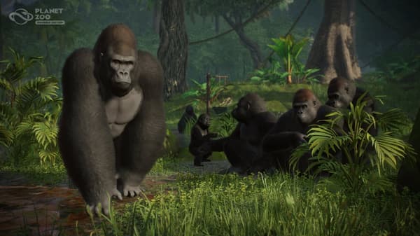 Planet Zoo: Console Edition Playstation 5