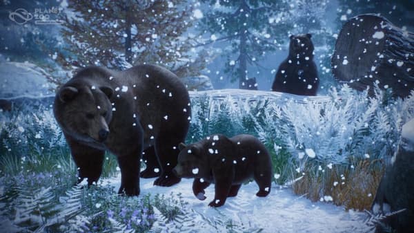 Planet Zoo: Console Edition Playstation 5
