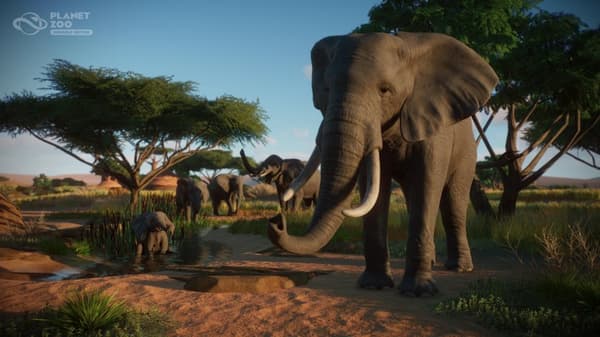 Planet Zoo: Console Edition Playstation 5
