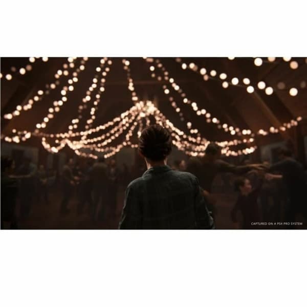 PlayStation 4 -videopeli Naughty Dog The Last of Us: Part 2
