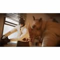 Pikkukuva 2 / 6: PlayStation 5 -videopeli Microids Blacksad: Under the skin