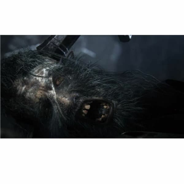 PlayStation 4 -videopeli Sony Bloodborne PlayStation Hits